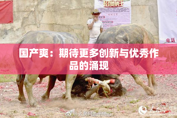 国产爽：期待更多创新与优秀作品的涌现