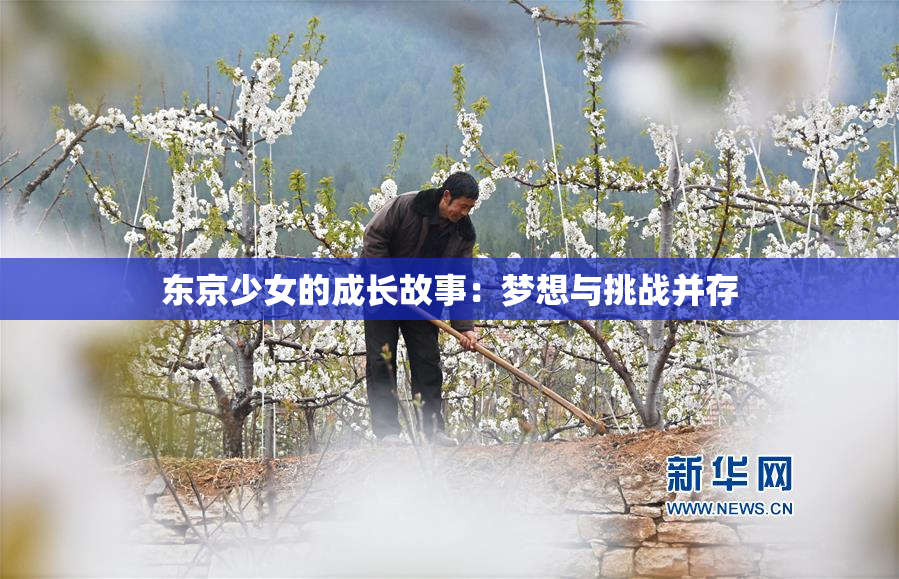 东京少女的成长故事：梦想与挑战并存