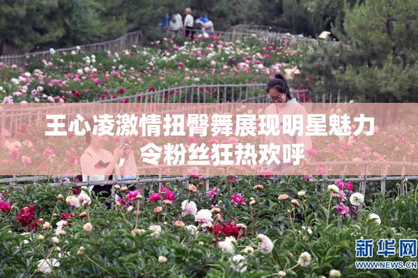 王心凌激情扭臀舞展现明星魅力，令粉丝狂热欢呼