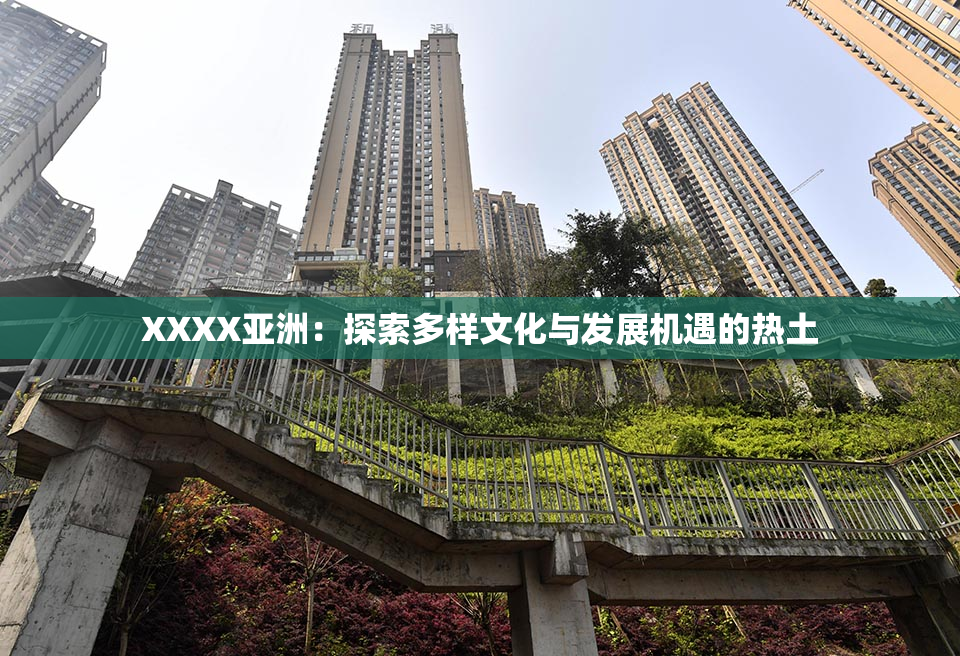 XXXX亚洲：探索多样文化与发展机遇的热土