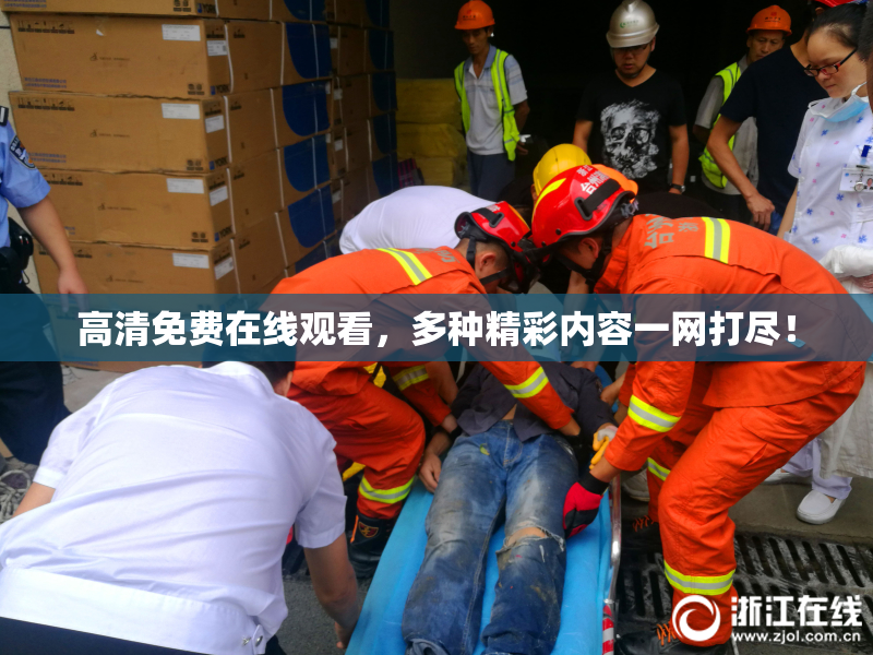 高清免费在线观看，多种精彩内容一网打尽！