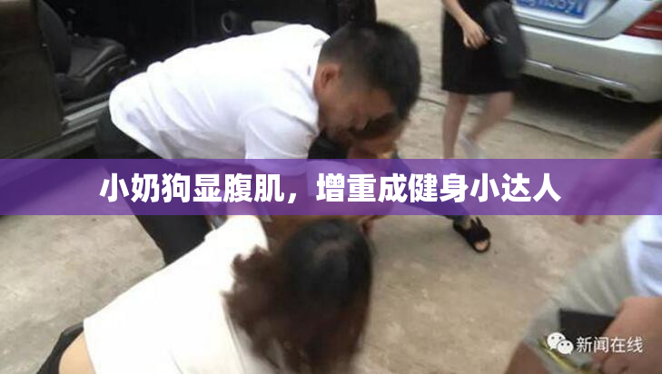 小奶狗显腹肌，增重成健身小达人