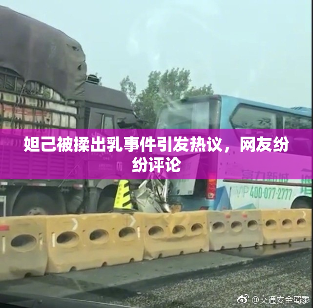 妲己被揉出乳事件引发热议，网友纷纷评论