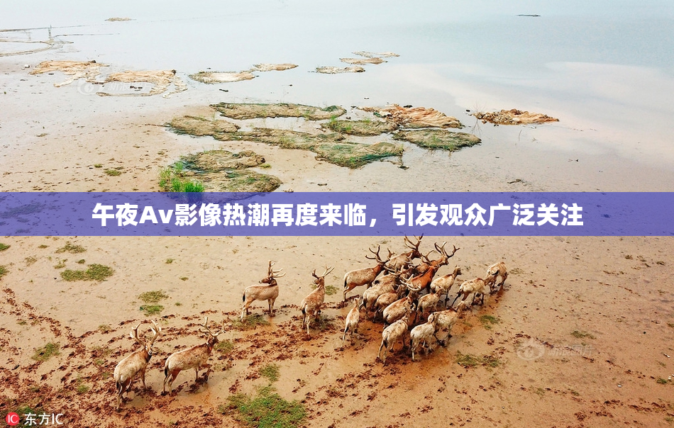 午夜Av影像热潮再度来临，引发观众广泛关注