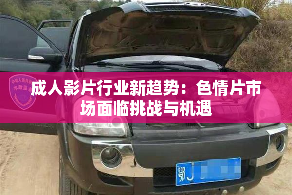 成人影片行业新趋势：色情片市场面临挑战与机遇