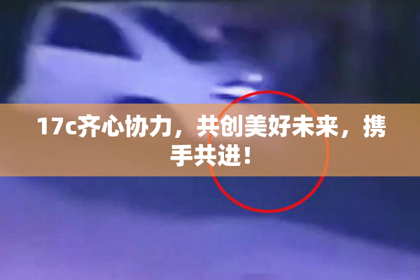 17c齐心协力，共创美好未来，携手共进！