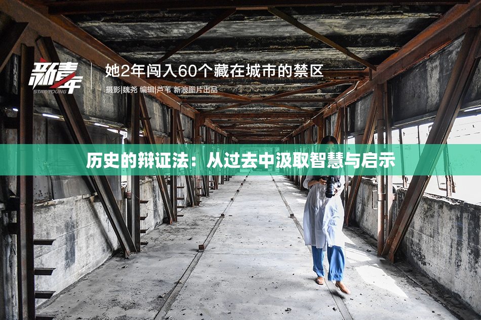 历史的辩证法：从过去中汲取智慧与启示
