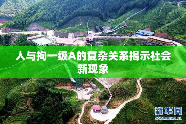 人与拘一级A的复杂关系揭示社会新现象