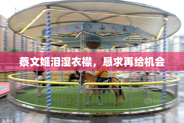 蔡文姬泪湿衣襟，恳求再给机会