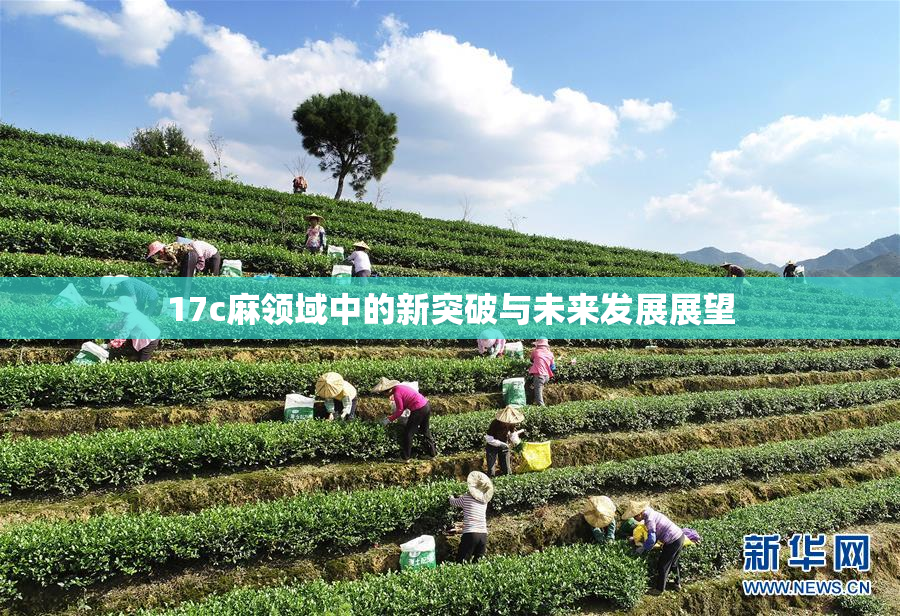 17c麻领域中的新突破与未来发展展望