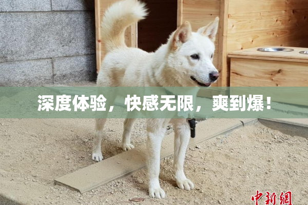 深度体验，快感无限，爽到爆！