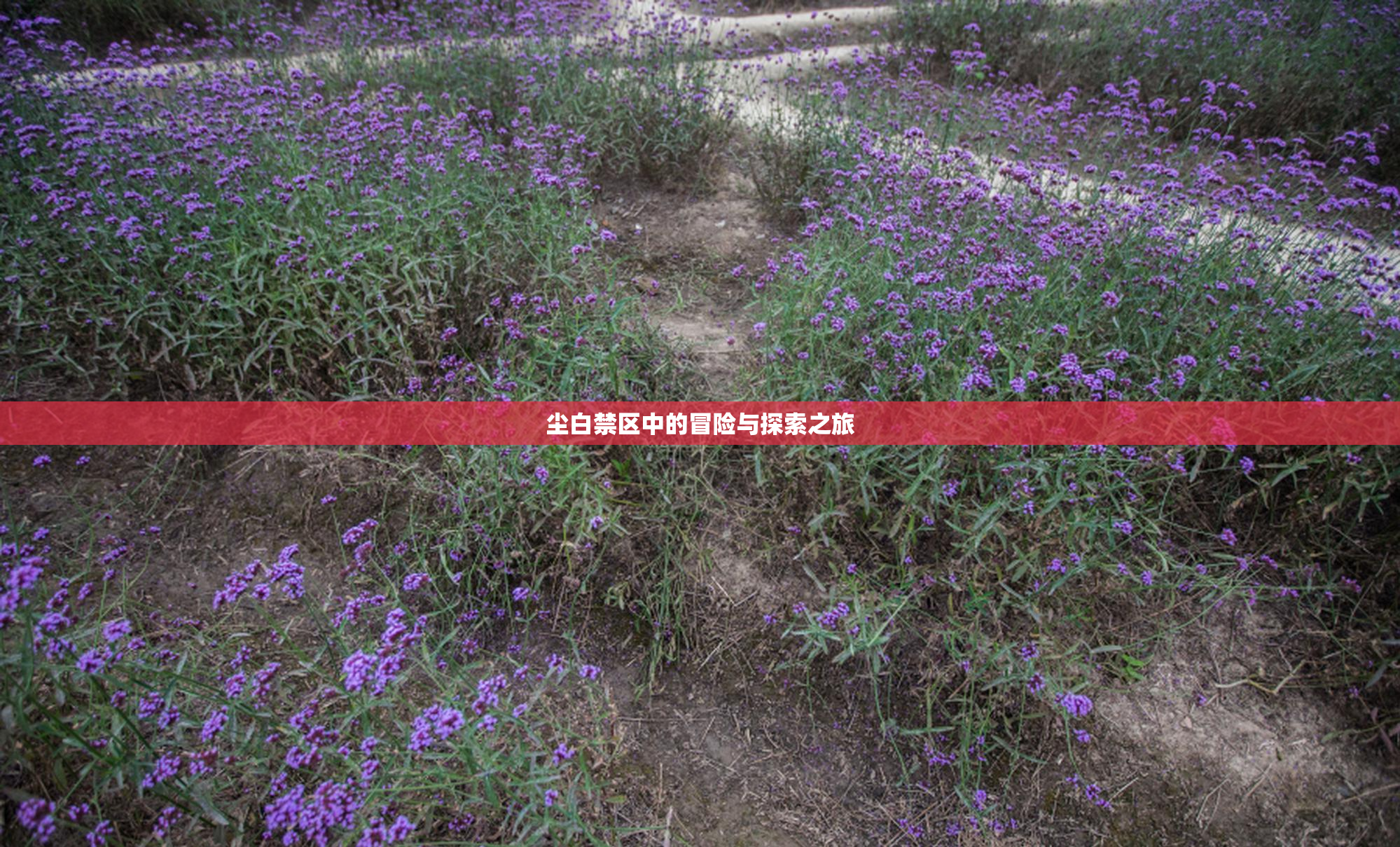 尘白禁区中的冒险与探索之旅