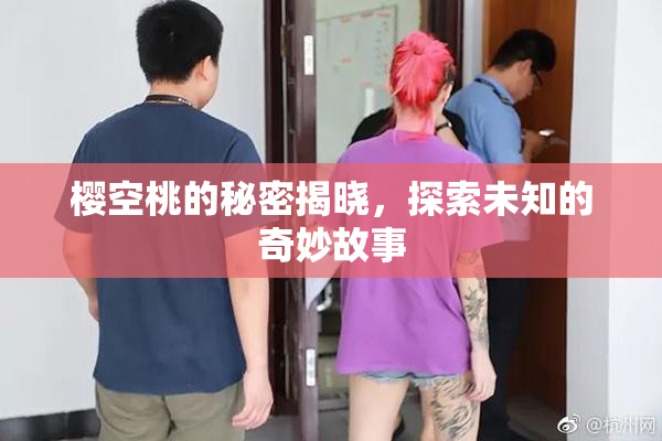 樱空桃的秘密揭晓，探索未知的奇妙故事
