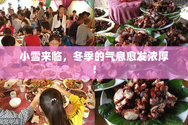 小雪来临，冬季的气息愈发浓厚!
