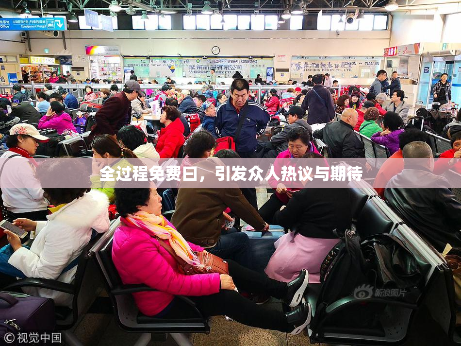 全过程免费曰，引发众人热议与期待