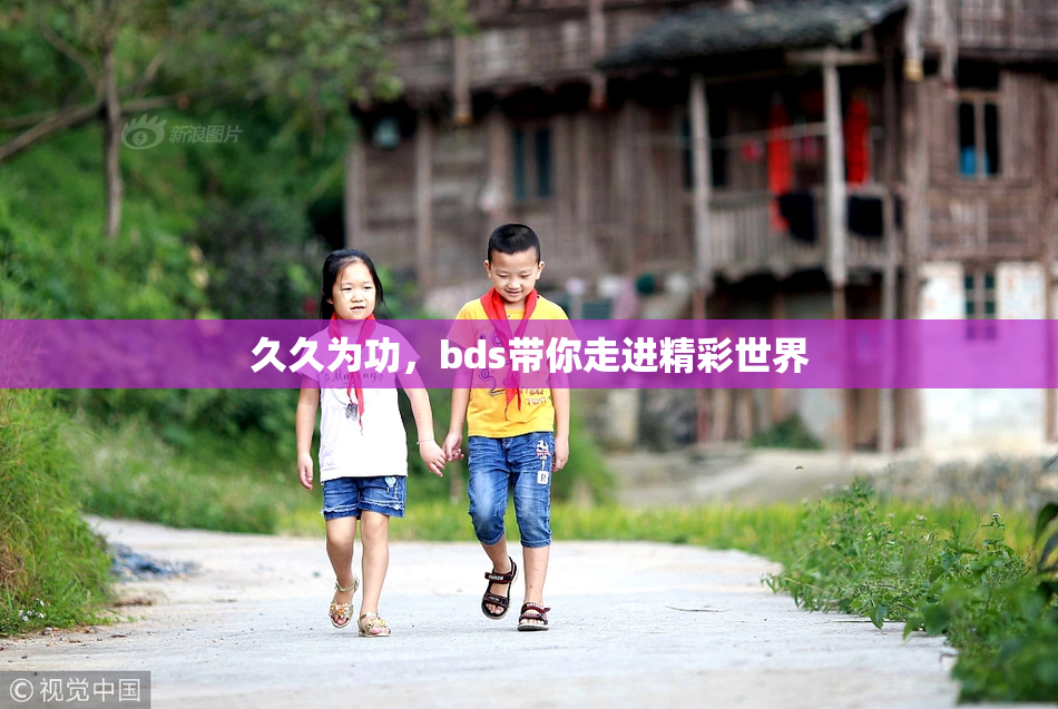 久久为功，bds带你走进精彩世界