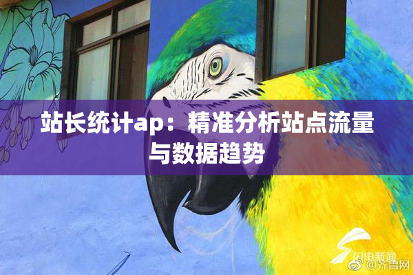站长统计ap：精准分析站点流量与数据趋势