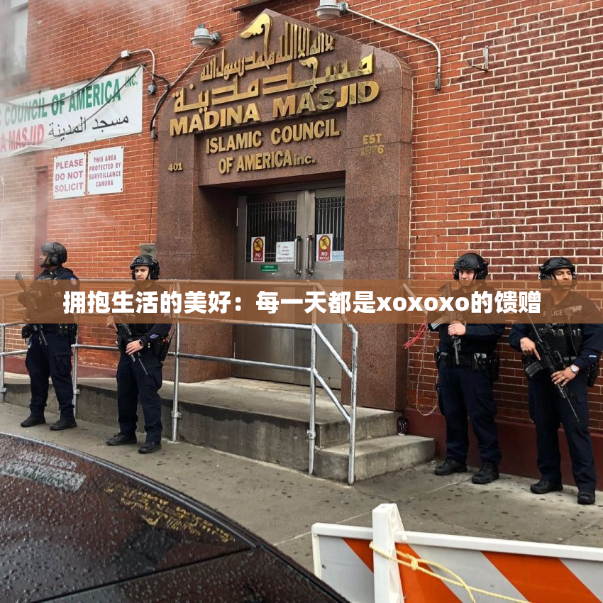 拥抱生活的美好：每一天都是xoxoxo的馈赠