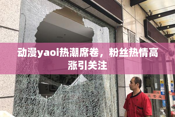 动漫yaoi热潮席卷，粉丝热情高涨引关注