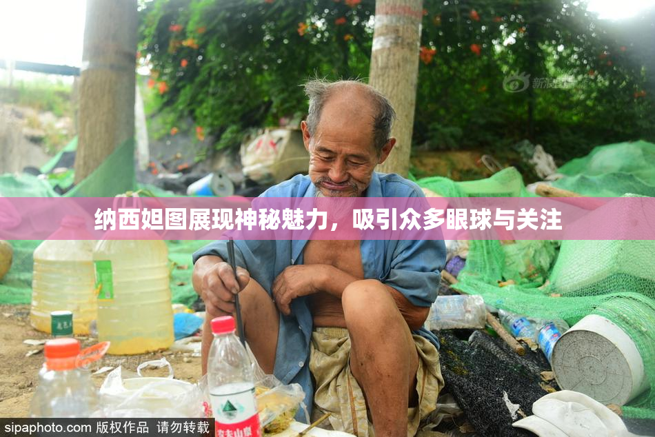 纳西妲图展现神秘魅力，吸引众多眼球与关注