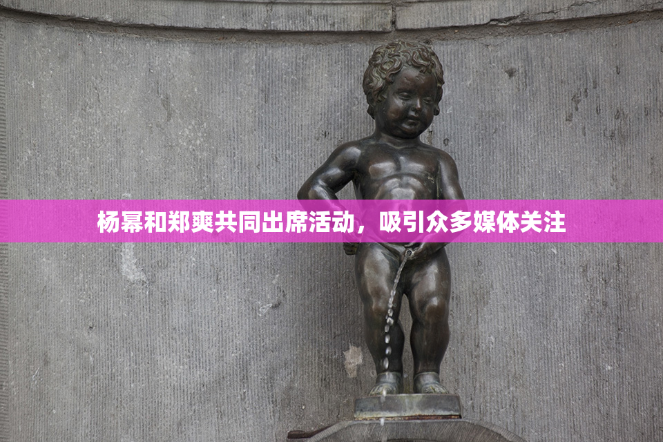 杨幂和郑爽共同出席活动，吸引众多媒体关注