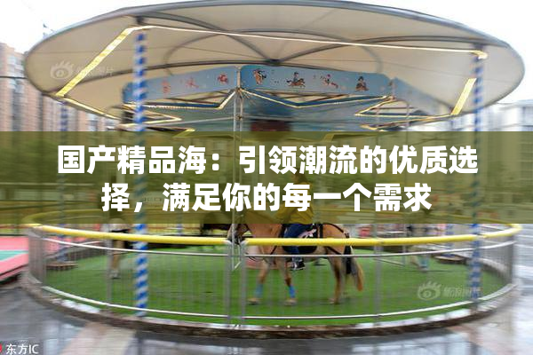 国产精品海：引领潮流的优质选择，满足你的每一个需求