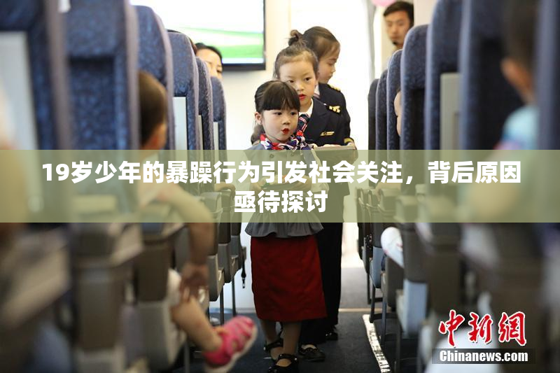 19岁少年的暴躁行为引发社会关注，背后原因亟待探讨