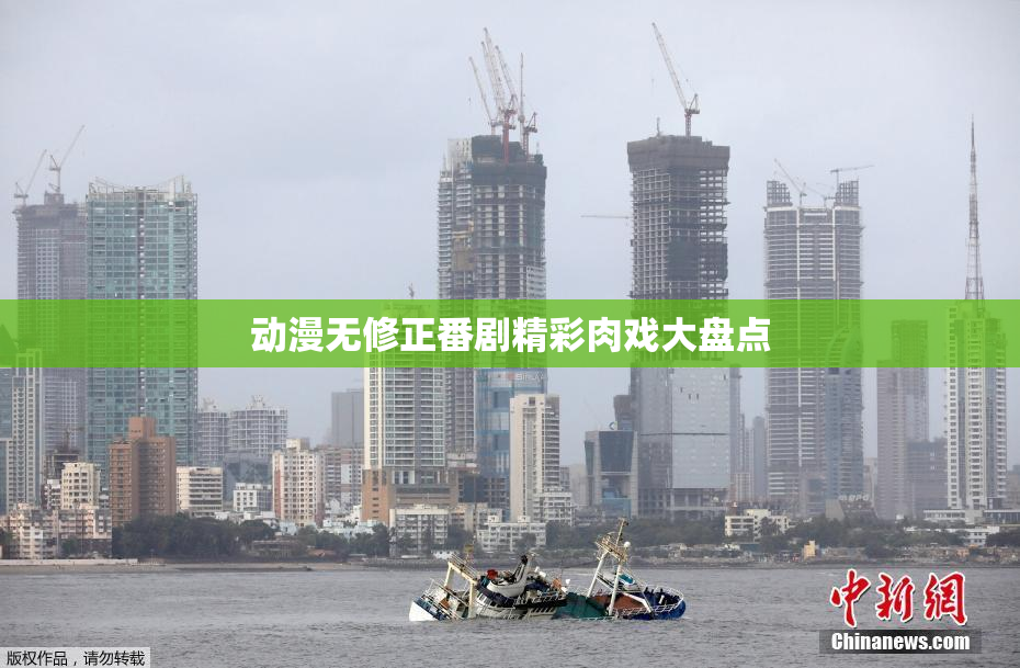 动漫无修正番剧精彩肉戏大盘点
