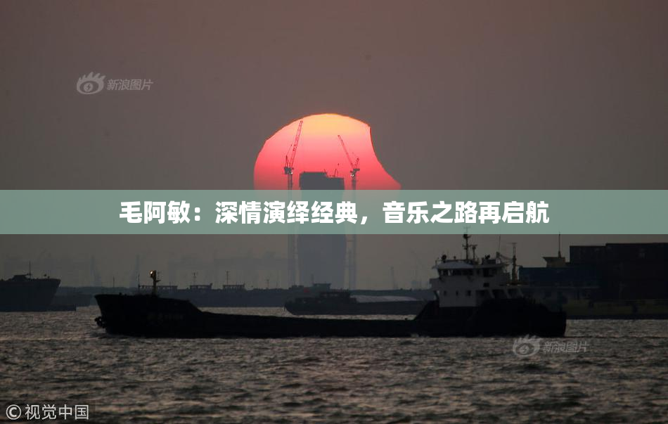毛阿敏：深情演绎经典，音乐之路再启航