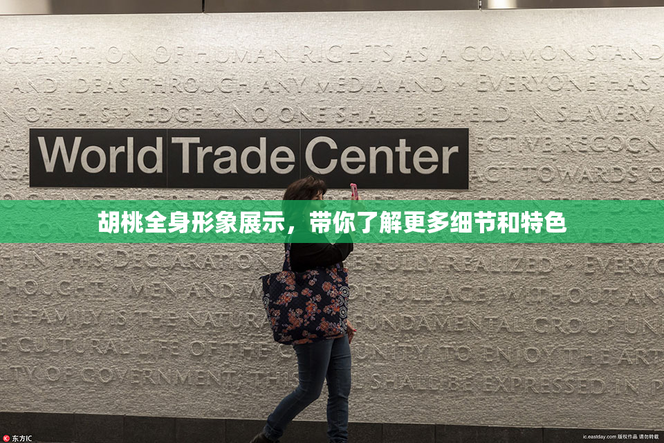胡桃全身形象展示，带你了解更多细节和特色
