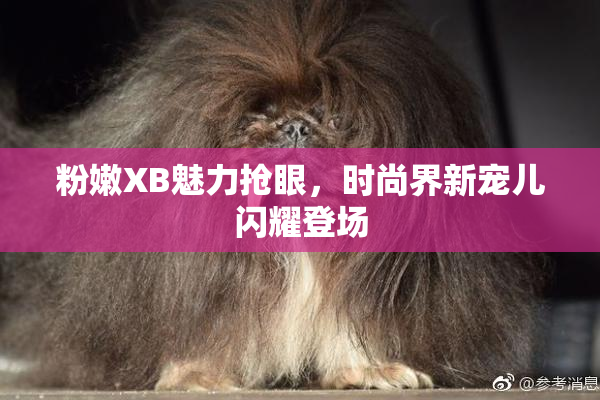 粉嫩XB魅力抢眼，时尚界新宠儿闪耀登场