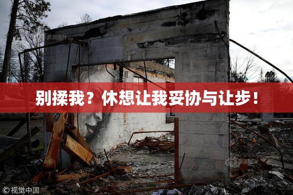 别揉我？休想让我妥协与让步！