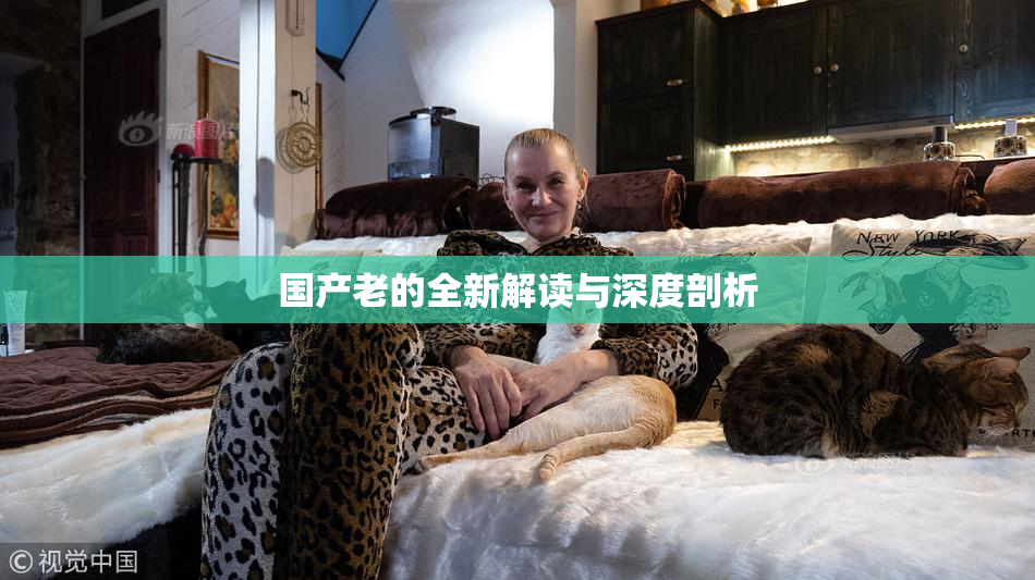 国产老的全新解读与深度剖析