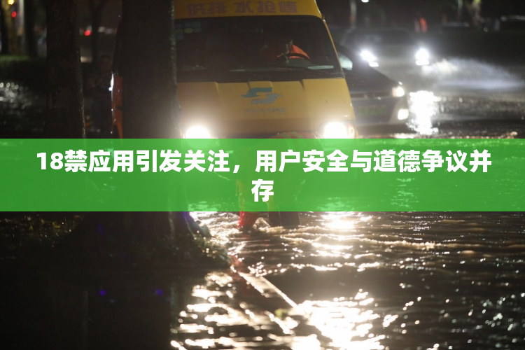 18禁应用引发关注，用户安全与道德争议并存