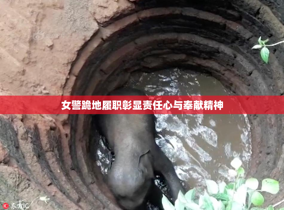 女警跪地履职彰显责任心与奉献精神