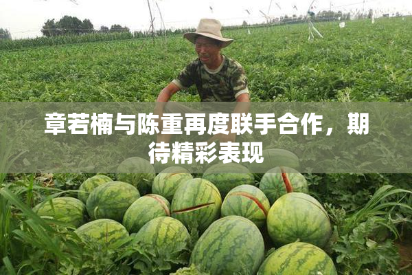 章若楠与陈重再度联手合作，期待精彩表现