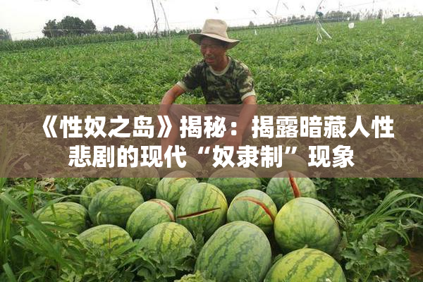 《性奴之岛》揭秘：揭露暗藏人性悲剧的现代“奴隶制”现象