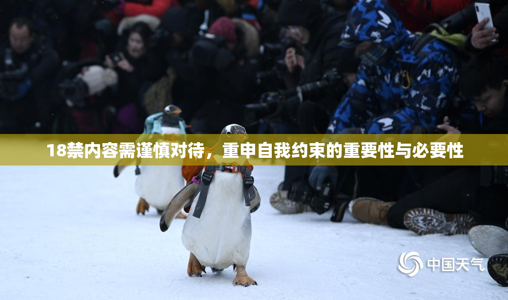 18禁内容需谨慎对待，重申自我约束的重要性与必要性