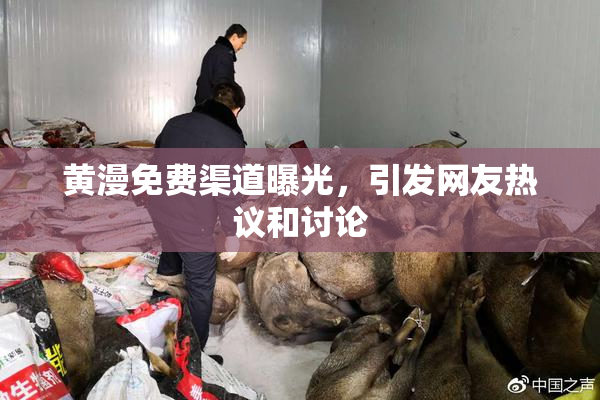 黄漫免费渠道曝光，引发网友热议和讨论