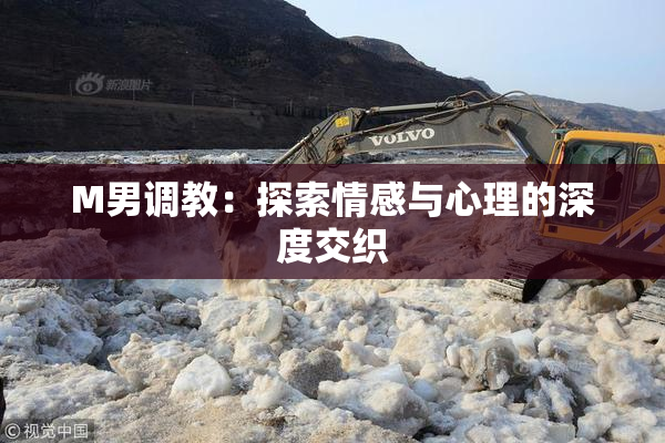 M男调教：探索情感与心理的深度交织