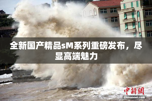 全新国产精品sM系列重磅发布，尽显高端魅力