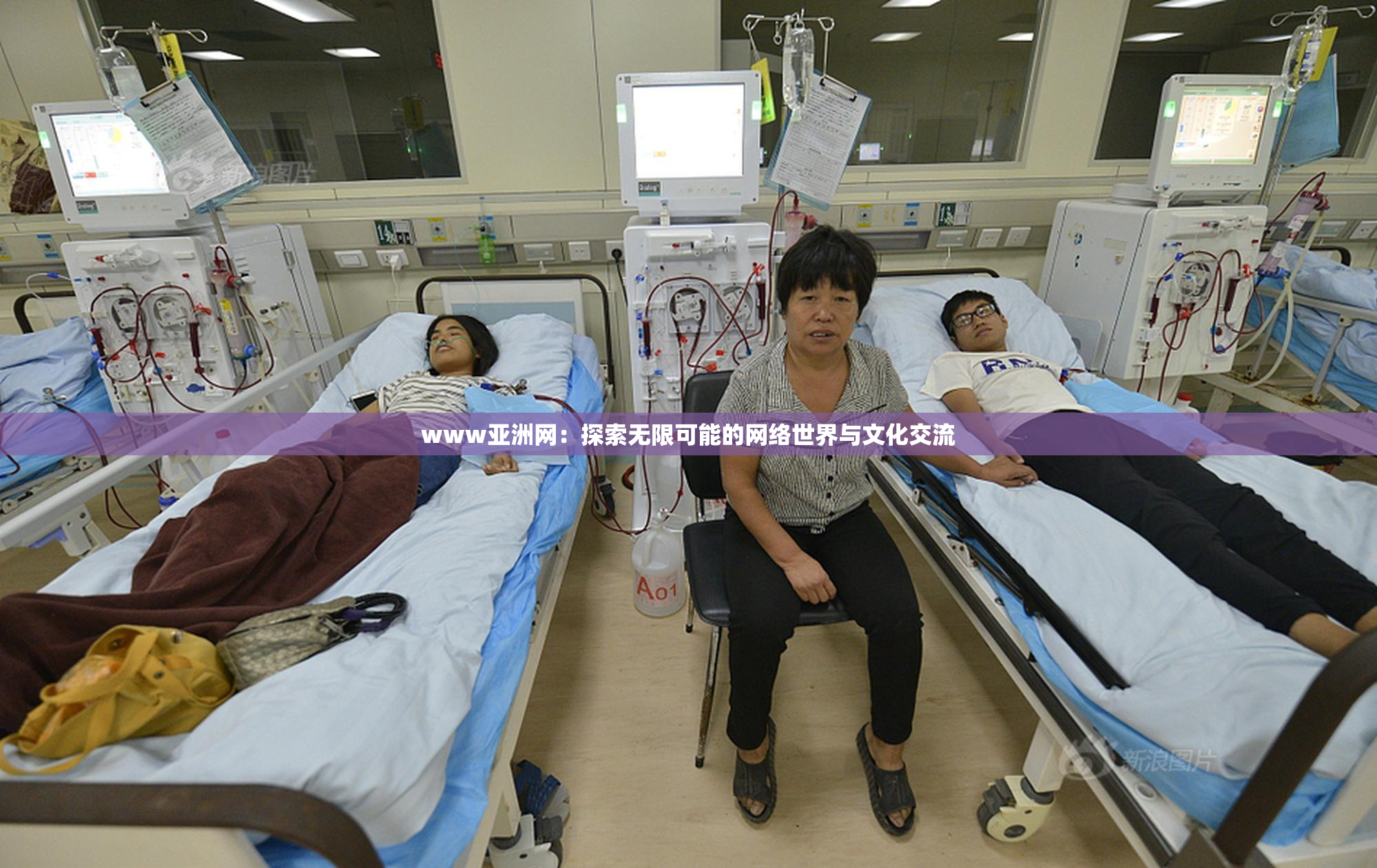 www亚洲网：探索无限可能的网络世界与文化交流