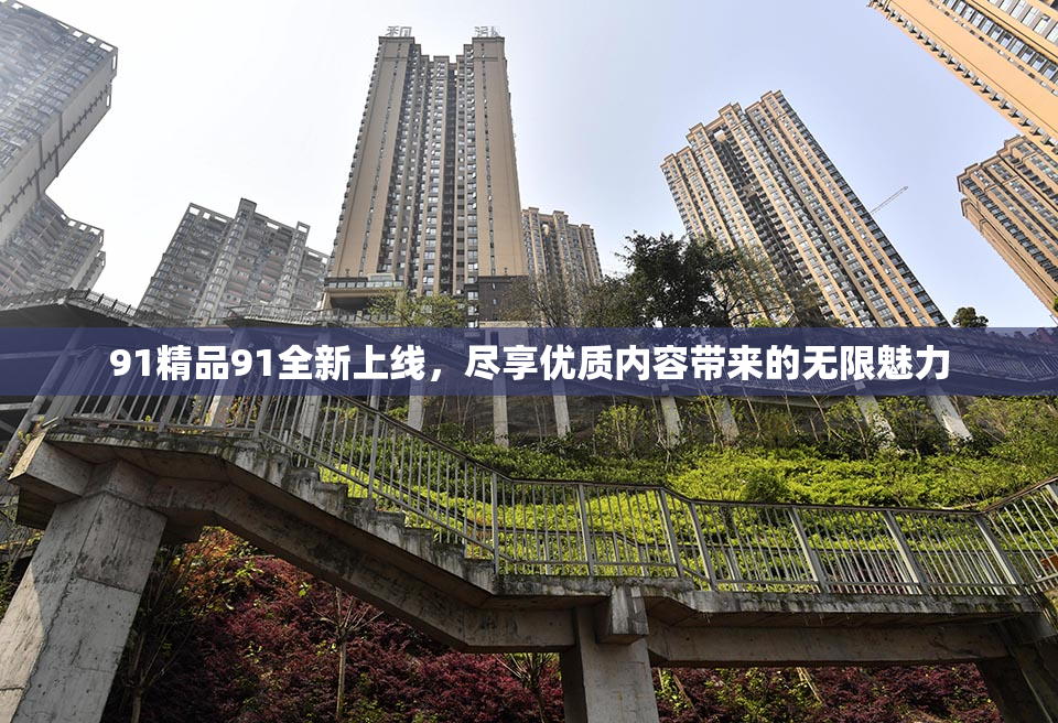 91精品91全新上线，尽享优质内容带来的无限魅力