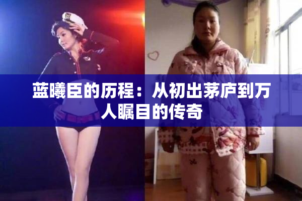 蓝曦臣的历程：从初出茅庐到万人瞩目的传奇