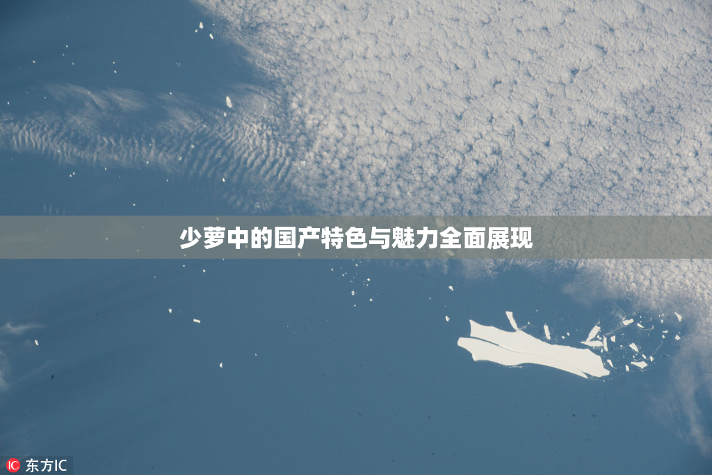 少萝中的国产特色与魅力全面展现