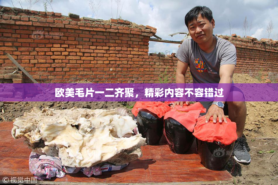 欧美毛片一二齐聚，精彩内容不容错过