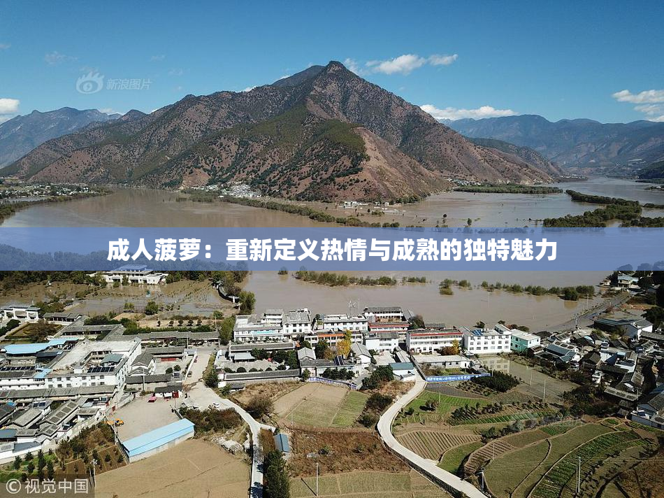 成人菠萝：重新定义热情与成熟的独特魅力