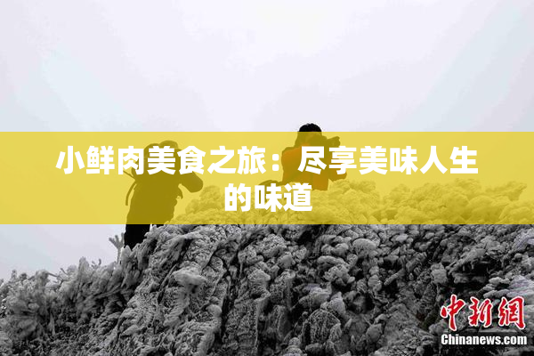 小鲜肉美食之旅：尽享美味人生的味道