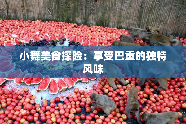 小舞美食探险：享受巴重的独特风味