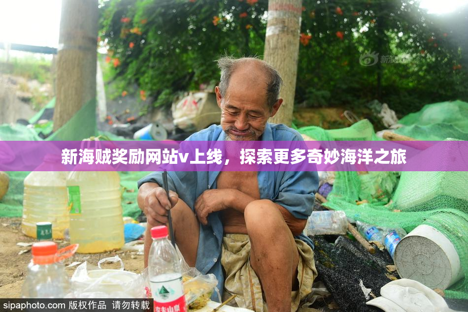新海贼奖励网站v上线，探索更多奇妙海洋之旅